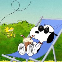 mattster67 (@mattster67) 's Twitter Profile