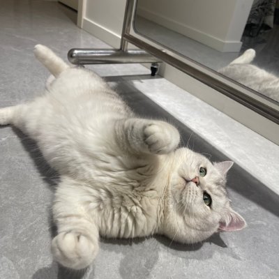 Huxlgnold's profile picture. 笑顔は私のパスワード。