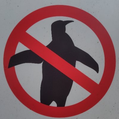 szb0tf77133's profile picture. 