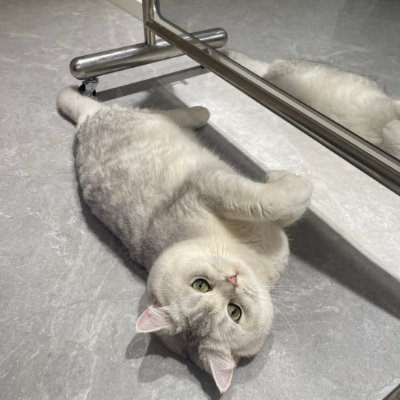 DerecsCoos's profile picture. 小さな幸せを集めて生きる。