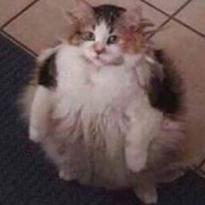 DJ_HaStyle's profile picture. Wedding DJ -- https://t.co/8ynCTLXCyQ…