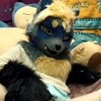 jonyFoxy_yiff's profile picture. Soft fur, sharp instincts, and a taste for trouble. I’m here to blur the line between cute and sinful. Every glance, every pose, every post is meant to make you