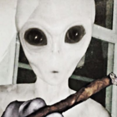 lpcb18's profile picture. EU ODEIO EDO