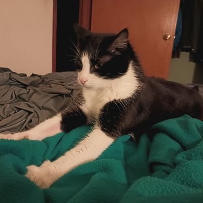 Jack B Profile