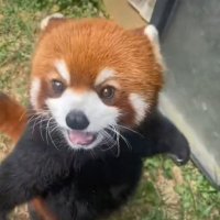 bstrpz (@bstrpz_eth) 's Twitter Profile