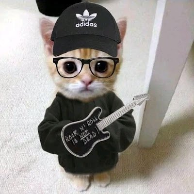 XDNerdBoy69's profile picture. 