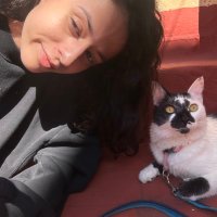 guillermina (@guillevela_) 's Twitter Profile