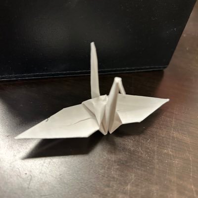 ronronron171717's profile picture. 