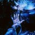 The Nameless System (@glasswidowstdos) Twitter profile photo The Nameless System (@glasswidowstdos) Twitter profile photo