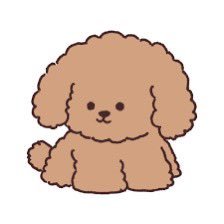 shsvsgk's profile picture. そんな犬が好き #犬を愛でろ