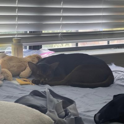 pureimagin84536's profile picture. 