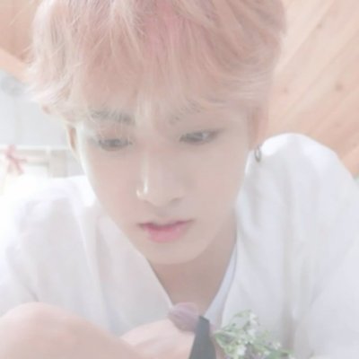 cwelhinho's profile picture. coelhinhos, papai e jungkook.
@liliesnu agere acc 100% sfw