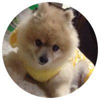 AMUWO (@amuwo25) 's Twitter Profile