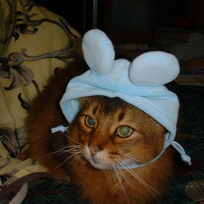 cakino_'s profile picture. 
