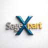 sageart9434's profile picture. Digital marketer by day, 3D animator by night 🌃 Combining creativity and strategy to bring brands to life in the digital world 🚀 #digitalmarketing BEGACWCF