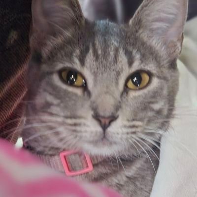 haydeponce61103's profile picture. 