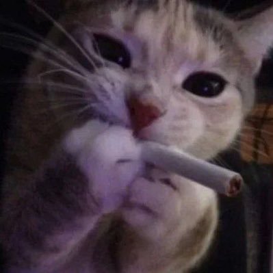 wthhyblocaa's profile picture. if u know me, no u don’t