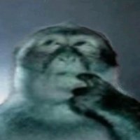 chris (@chrustdy) 's Twitter Profile