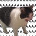 nevermore (@skippityboops) Twitter profile photo nevermore (@skippityboops) Twitter profile photo