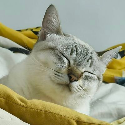 sununtarit43715's profile picture. 