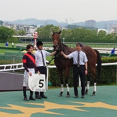 25↑ 🐎♀️ / 現役最推しジョワイユノエル / 🤍🤎ガイアとノエル、ノチェ兄妹推し / 永遠の推しアーモンドアイ / ときどき現地(関西中心) のんびり応援しています🐴❣️