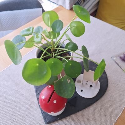 Petrakilloran's profile picture. Academic@CityLIS & Library professional.
Phd: Exploring UK Digital Citizenship Education.
School libraries and childhood reading advocate.  Own views📚