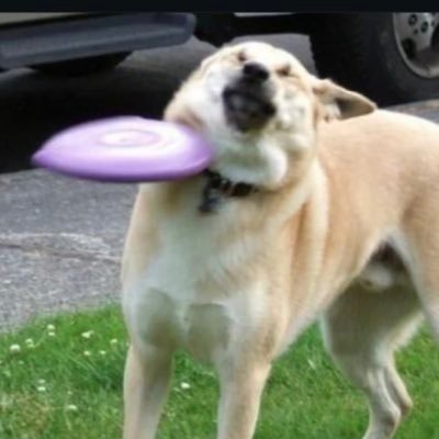 Ra23131777's profile picture. 🚭 .🍷= 🚫 .🇺🇦🌝🏳️‍🌈.