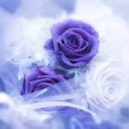 ✾❀❁ フラワー ✾❀❁ (@investor0321) 's Twitter Profile Photo ✾❀❁ フラワー ✾❀❁ (@investor0321) 's Twitter Profile Photo