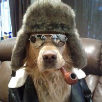 dom (@swagmasterd0m) 's Twitter Profile