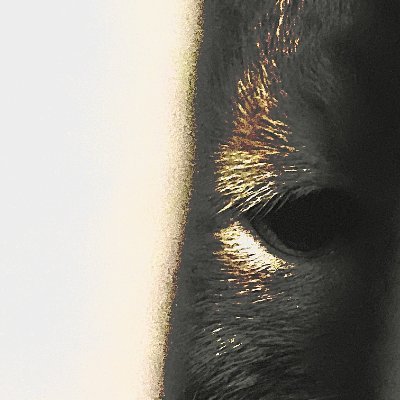 delir1ousheart's profile picture. https://t.co/JKkifWrhbd