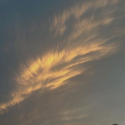 yunwwio's profile picture. 