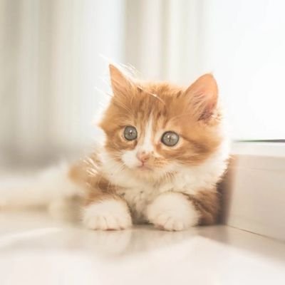 12341234piro's profile picture. ３０代会社員　男です。
日々の暮らしで、便利グッズを紹介します！
暮らしが充実するもの発信中！