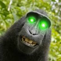✳️ Degen | best bot in town https://t.co/KYwaJEBfsb | one of the best groups you can be in https://t.co/V8dmI22P2t