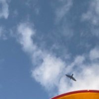 cloudwhisper (@cloudwhisp_) 's Twitter Profile