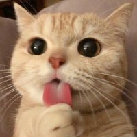 simon (@ssszzz45) 's Twitter Profile Photo simon (@ssszzz45) 's Twitter Profile Photo