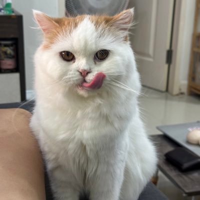 รีวิวของใช้โดยมารุเป็นเด็กอ้วงさんのプロフィール画像