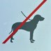 Doglife in paris (@doglifeinparis) Twitter profile photo Doglife in paris (@doglifeinparis) Twitter profile photo