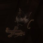 💤さんのプロフィール画像