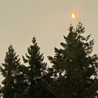 Pvrpl_e (@epvrpl87111) 's Twitter Profile