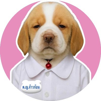 มามี๊เบคเบคแฟนจ๋าพี่ฟรีน เทรนด์ X IG tiktok ซัพพอร์ตฟรีนเบคเท่านั้น