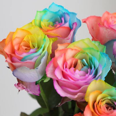 ChiKaPechi's profile picture. 