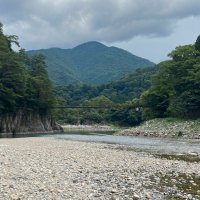 ヤキヤキトリトリ平安京 (@yakitoriheankyo) Twitter profile photo