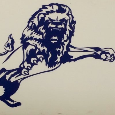 lionwall's profile picture. Royal Blue never Navy