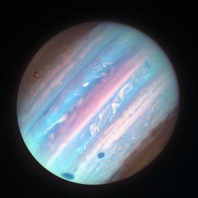 sadsquirrelz's profile picture.