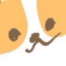☺︎コムコギ☺︎さんのプロフィール画像