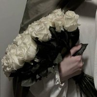 Zarife Beşir (@zrfbeshir) 's Twitter Profile