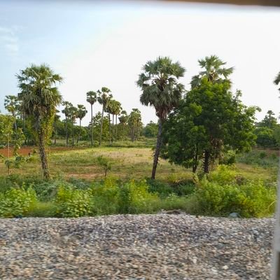 jayacha55252551's profile picture. Nothing