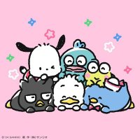 あんちゃん🐈⬛ (@an_mi09) 's Twitter Profile
