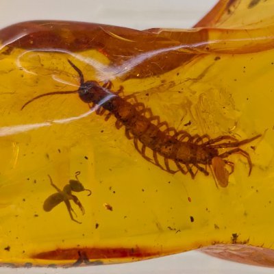 Da_zilcher's profile picture. 