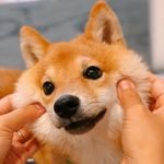 6915bboth's profile picture. CS Graduate | Researcher in AI and LLM